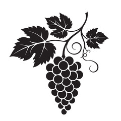 Obraz premium Grape silhouette vector image