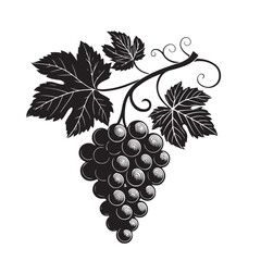Fototapeta premium Grape silhouette vector image