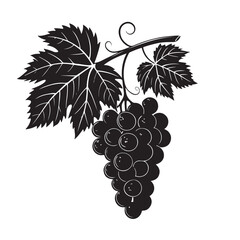 Obraz premium Grape silhouette vector image
