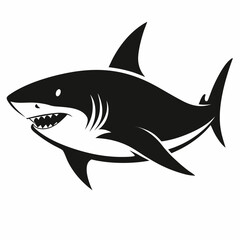 shark vector illustration