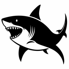 shark vector illustration