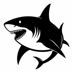 shark vector illustration