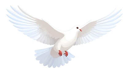 Obraz premium White Dove in Flight.