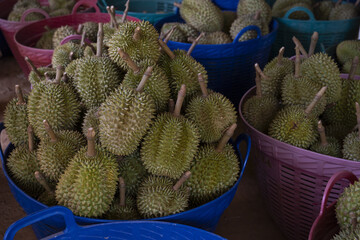 Fresh durians in colorful baskets create vibrant market scene, showcasing unique spiky fruit