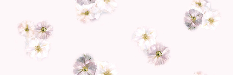 Fototapeta premium Creative Hand Drawn Floral and Scrollwork Pattern Illustrations