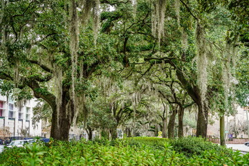 A street in Savannah