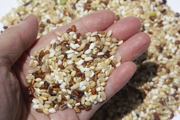 Hands and grains of grain.