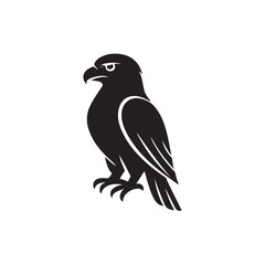 Fototapeta premium silhouette of eagle