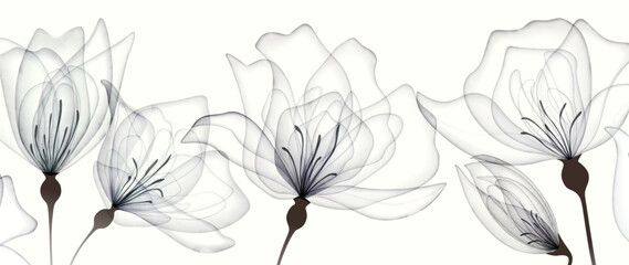 Black and white botanical art background with transparent flowers in watercolor style. Floral banner for decor, print, wallpaper, textile, poster, packaging, interior design.