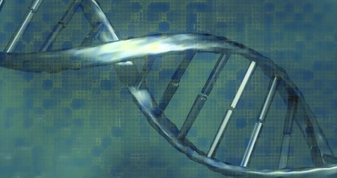 DNA helix entering frame, rotating rightward while grid intensifying visualizing genetic network