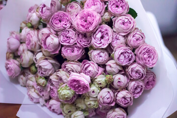 Bouquet of Pink Spray Roses in Close-Up