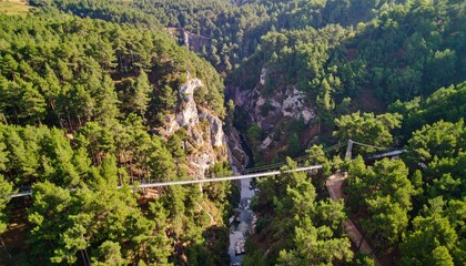 Suspension bridge spans deep forested gorge with river running through it