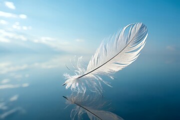 Obraz premium A single white feather floating on water with a blue sky background