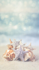 Obraz premium Seashells and starfish on sun-kissed beach, soft bokeh ocean backdrop in light airy aesthetic