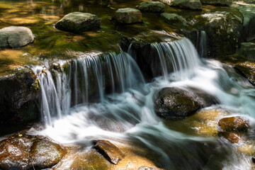 Fototapeta premium flowing stream in the mountain valley