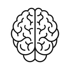 Vector of Human Brain – Medical and Science Concept