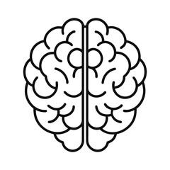 Human Brain Vector Illustration