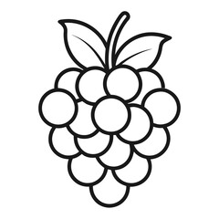 bunch of grapes
