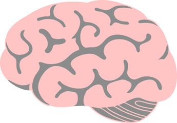 human brain vector illustration