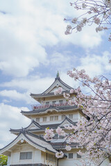 Naklejka premium 日本の風景【千葉市】春の桜と亥鼻公園・亥鼻城跡・千葉市立郷土博物館