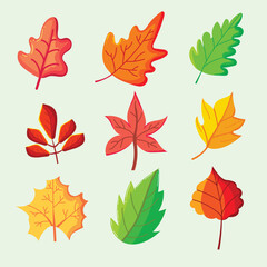 Set of autumn leaves Collection
