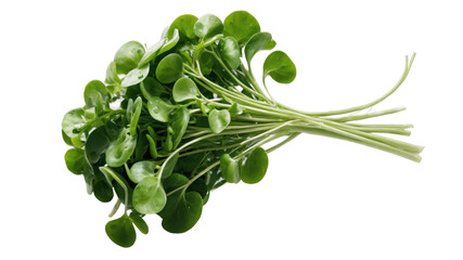 Fresh watercress bunch displayed against a muted green background.