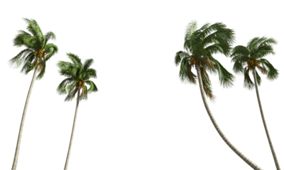 Cut out realistic coconut trees collection on transparent backgrounds. high quality 3d rendering. png format	