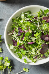 Organic Raw Green Microgreens
