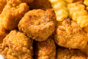 Organic Healthy Fried Chicken Nuggets and French Fries