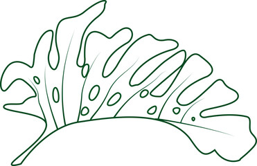 Hand Drawn Outline Monstera Leaf Tropical Plant