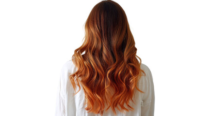 Fototapeta premium Back view of a woman with long, wavy hair showcasing a beautiful gradient of orange and brown tones.