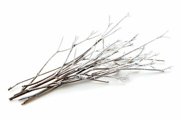 Dry twigs and branches arranged on a white background. Rustic and minimal elements for natural compositions.