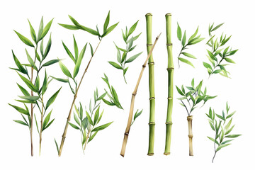 Naklejka premium Young bamboo stalks in green clusters. Minimal Asian-inspired design with natural elements.