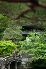 Discovering the city of Kyoto 