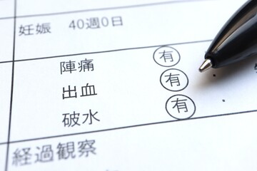 分娩時の母体の経過記録用紙