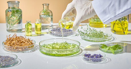 Pouring green herbal liquid into clear glass dishes for testing and examination in a controlled lab environment. Pharmaceutical research warning with herbal green pharmaceuticals
