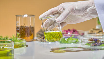 A researcher's hand holds a beaker containing tea tree leaves and their essential oil on a...