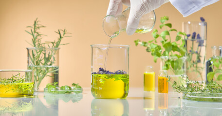 A collection of beakers with herbal infusions, placed next to green plants and test tubes on a clean white lab surface. Scene of research and extraction of herbal essential oils