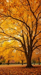Fototapeta premium Photo Of Autumn Trees With Golden Yellow Leaves Under Sunlight