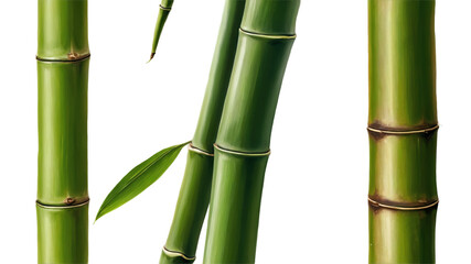 Obraz premium Close-up view of bamboo stalks and a leaf.