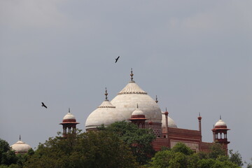 Taj Mahal is beautiful creation made to honour love and is one of the seven wonders on the earth....