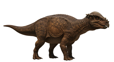 Fototapeta premium Detailed 3D Model of a Pachycephalosaurus Dinosaur