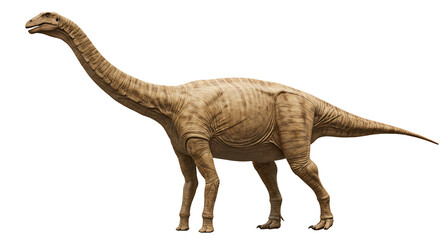 Detailed Render of a Brachiosaurus Long Necked Herbivore Standing Proudly
