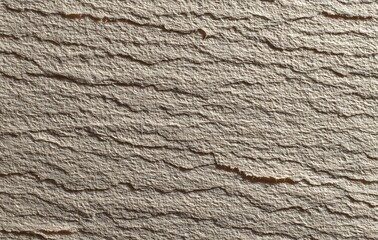 Close Up Detailed Brown and Beige Wood Texture Background