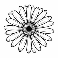 Simple Black and White Daisy Flower Illustration for Coloring or Design