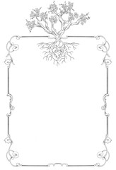 Vines grape plant botanical frame and border	