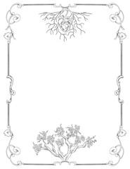 Vines grape plant botanical frame and border	