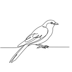 Single Line Bird Art: Minimalist Perched Sparrow Illustration