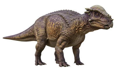 Obraz premium Pachycephalosaurus with textured skin domeshaped skull and small horns
