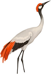 Naklejka premium Red-crowned crane gazes upward in serene sumi-e painting style.